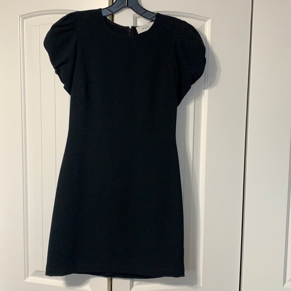 NWOT A.L.C. Ruffle shoulder Dress